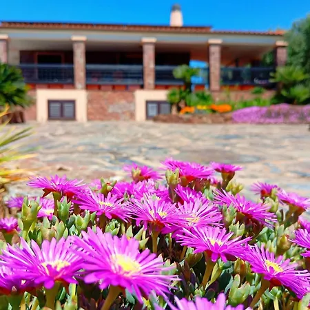 Barranch With Sea View Swimming Pool For 6 People * Alghero