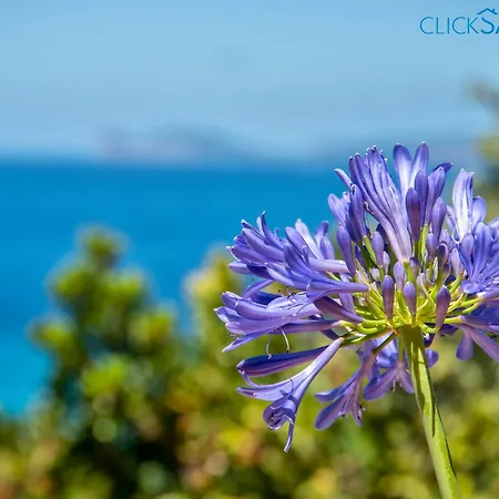 Barranch With Sea View Swimming Pool For 6 People Alghero
