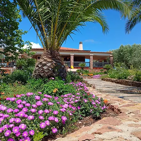 Barranch With Sea View Swimming Pool For 6 People Alghero
